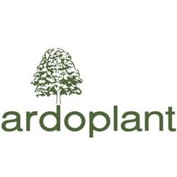 Ardoplant