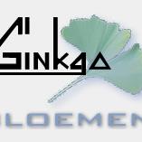 Bloemen Ginkgo