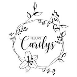 Carilys