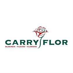 Carry Flor NV