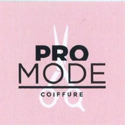 Coiffure Pro-Mode