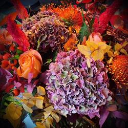 COIN FLEURI BLOEMEN