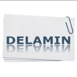 Delamin