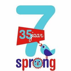 De Zevensprong vzw