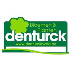 Denturck (groothandel)