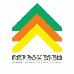 Depromesem Asbl, Depromesem