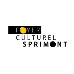 Foyer Culturel de Sprimont ASBL