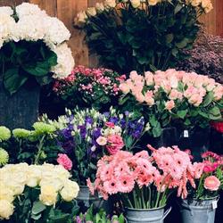 FLEURS MATHY