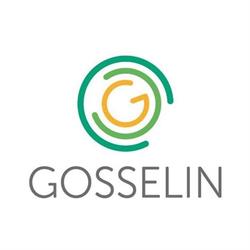 Gosselin Moving Company - Antwerp Belgium