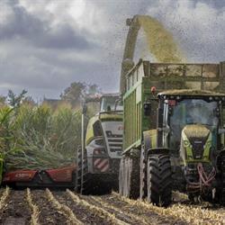 Haveneers loonwerken bvba