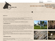 Website van Intraskins 