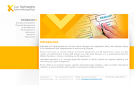 Luc Verhaeghe interim management bvba