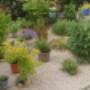 New Garden jjj entreprise plantations