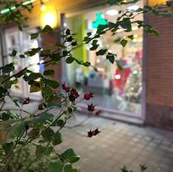 Pharmacie Florair SRL