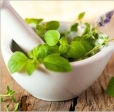Pharmacie Squelard sprl