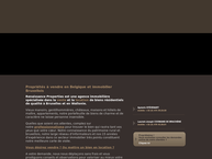 Website van Renaissance Properties SCRL 