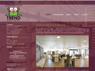 Website van Trend Optical 