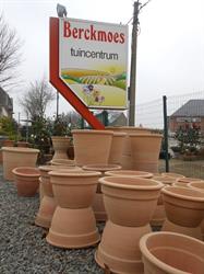 Tuincentrum Berckmoes BVBA