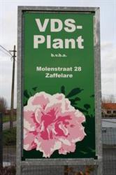 VDS-plant