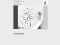 Website van Wdvts 