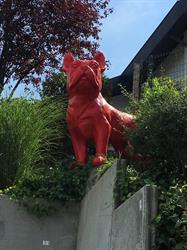 Vetcare center Falmagne Caroline - Dierenarts