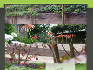 Website van Four Seasons 