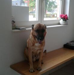 Lodewijckx/Annemie