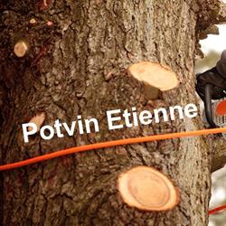 Potvin Etienne - Abattage et élagage d'arbres