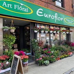 Euroflor