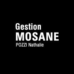 Gestion Mosane sprl