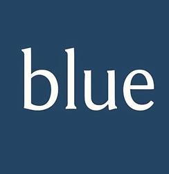 Blue Exclusive Quality Shoes