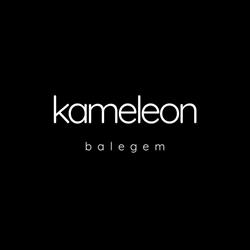 Kameleon bvba