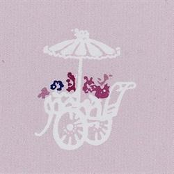Myosotis