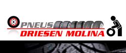 Driesen-Molina L.