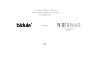 Bidule