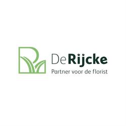 De Rycke