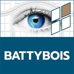 Battybois