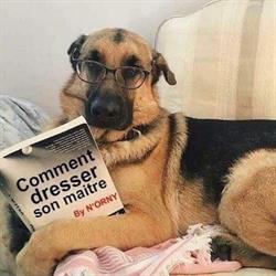 De Caluwaert/Philippe