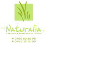 Scutnaire/Bernard