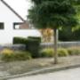 Tuinen Maenhout projecten
