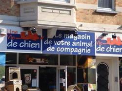 Une Vie de Chien