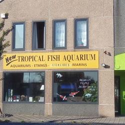 Tropical Fish Aquarium