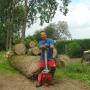 abattage d'arbre