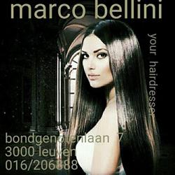 Marco Bellini