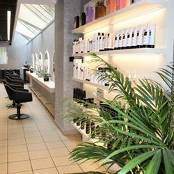 Elite Hairstyling Bvba