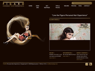 Figaro Personal Hair Experience Bvba