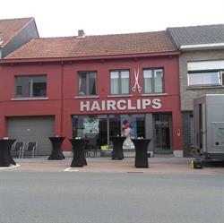 Kapsalon Hairclips