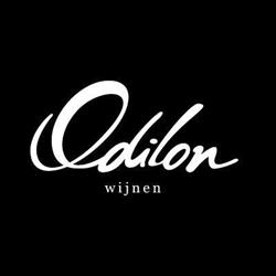 Bvba Odilon B.v.b.a.