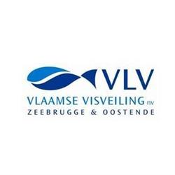 Vlaamse Visveiling N.v.