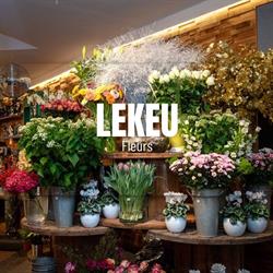 V. Lekeu Fleurs S.c.r.l.